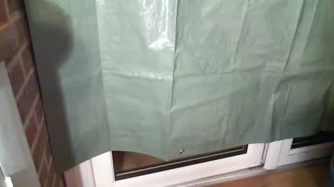 Aaron online show from December 22, 7:44 pm