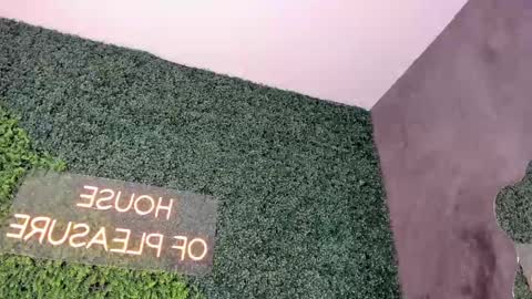 Snapshot of abby_me chatting on February 19, 12:11 pm A B B Y online show from February 19, 12:11 pm