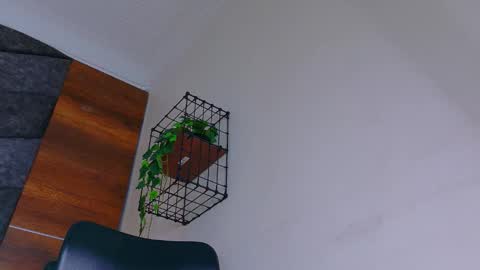 A B B Y online show from January 8, 11:34 am