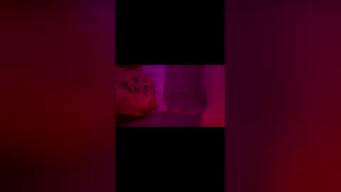 abigrace online show from April 10, 12:27 am