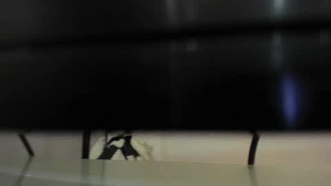 Snapshot of abril_777 chatting on February 22, 7:56 pm Abril 777 online show from February 22, 7:56 pm