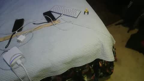 aCACiAs2022 online show from March 16, 2:17 am