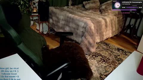 Adalina Rae online show from January 5, 6:24 am