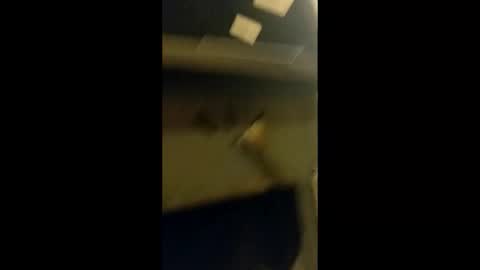 Snapshot of adam000985057 chatting on January 31, 2:04 am adam000985057 online show from January 31, 2:04 am