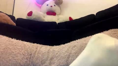 Snapshot of adam_1792 chatting on February 18, 12:28 pm ENIGMA TZX5114 online show from February 18, 12:28 pm