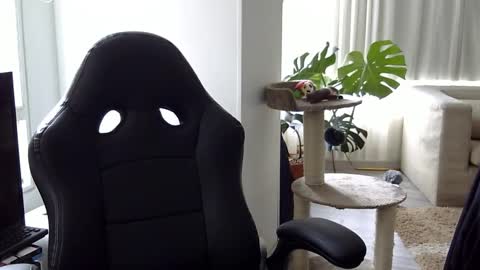 adam_evehotroom online show from October 15, 8:20 pm