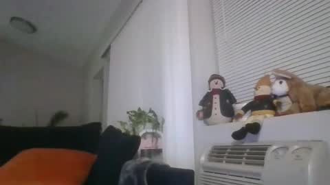 Snapshot of adamishere1 chatting on March 1, 1:07 am Britishadam online show from March 1, 1:07 am