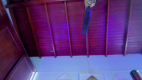 adeline online show from December 17, 6:24 am