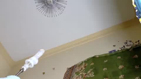 jackline online show from February 7, 8:40 am