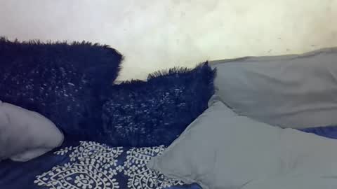 afrii_kity online show from April 17, 3:42 am