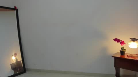 Snapshot of afrodita3123 chatting on February 12, 3:27 pm Lorena online show from February 12, 3:27 pm