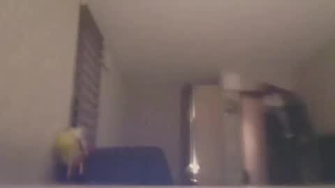 ahbehbi12 online show from March 10, 7:40 pm