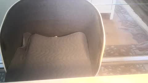 Snapshot of ahmole chatting on January 10, 9:34 am Ole online show from January 10, 9:34 am