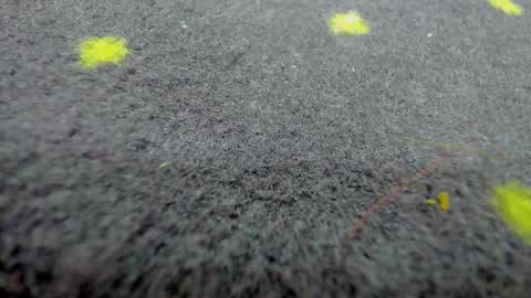 Aisha online show from March 21, 8:19 am