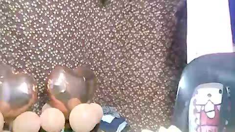 rosie online show from February 3, 3:17 pm