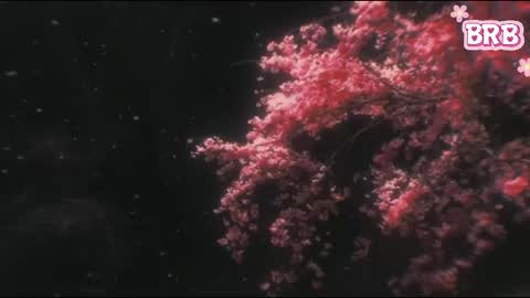 Liza online show from April 12, 7:41 pm