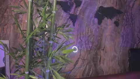 ALAHIA online show from January 13, 5:18 pm