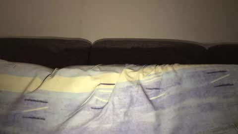 alanfick online show from August 3, 1:48 am
