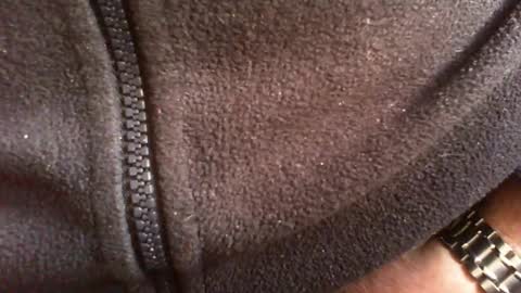 albert29 online show from February 14, 10:34 am