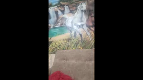 Snapshot of albina6543 chatting on February 9, 8:40 am albina online show from February 9, 8:40 am