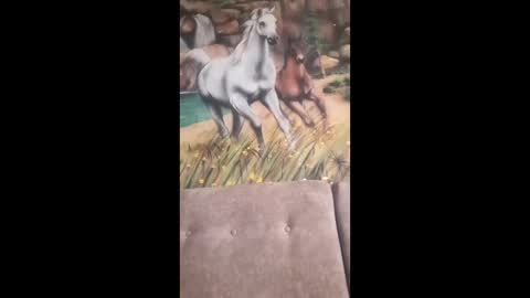 Snapshot of albina6543 chatting on February 13, 9:49 am albina online show from February 13, 9:49 am