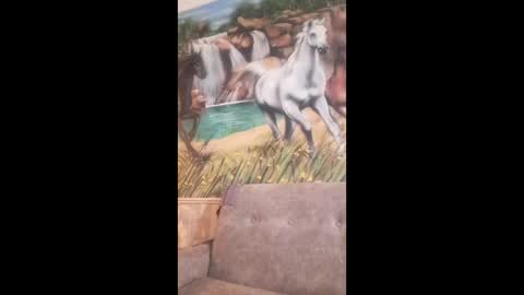 Snapshot of albina6543 chatting on February 24, 8:23 am albina online show from February 24, 8:23 am