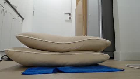 Nicha online show from September 21, 4:47 am