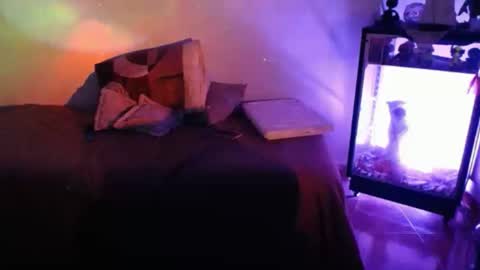 Alexa online show from September 22, 11:18 pm