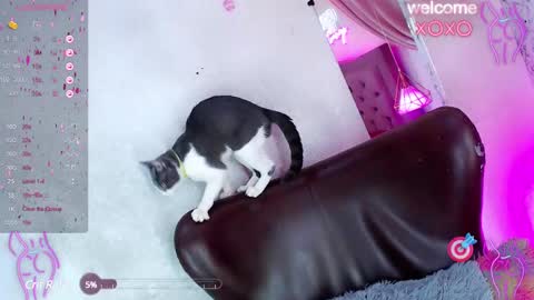 Snapshot of alexandra_evanz chatting on January 27, 1:09 pm Alexandra Spellman online show from January 27, 1:09 pm