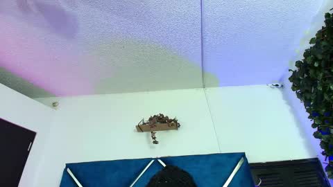 Snapshot of alexarousse4u chatting on February 24, 1:47 am Alexa online show from February 24, 1:47 am