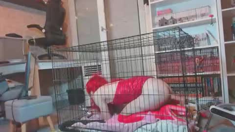 alexas_owned_bitch online show from May 30, 10:29 pm