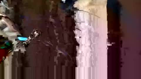 alexey932 online show from November 10, 10:03 am