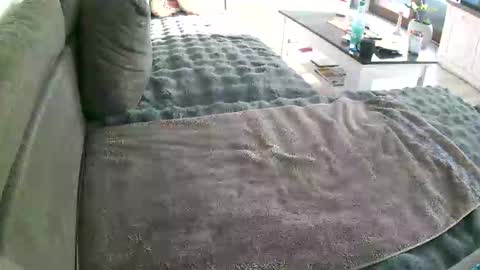 Doggystyle online show from January 10, 10:17 am