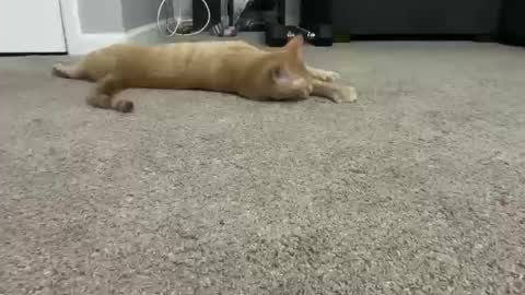 alexispaige06 online show from October 11, 7:01 pm