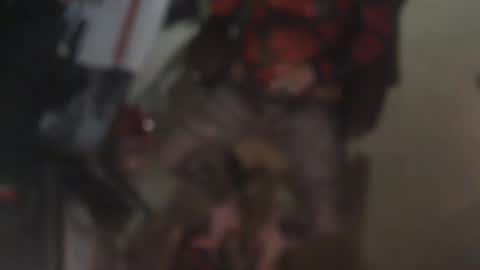 aliceleemcgee online show from February 22, 10:36 am