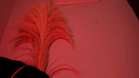 Snapshot of alicepoixxxon chatting on October 25, 3:14 am ALICE online show from October 25, 3:14 am