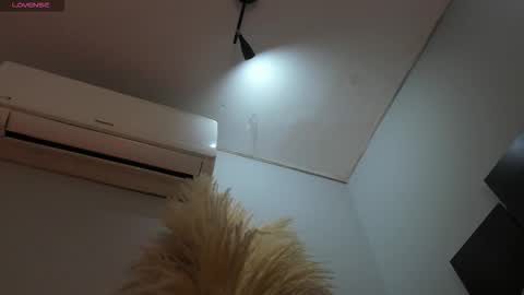 Snapshot of alicepoixxxon chatting on November 25, 2:55 am ALICE online show from November 25, 2:55 am