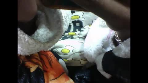 Snapshot of alicia253177 chatting on September 10, 6:30 pm alicia253177 online show from September 10, 6:30 pm