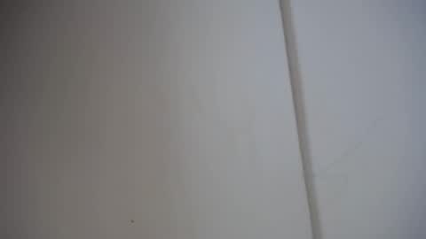 Ali online show from February 17, 12:05 pm