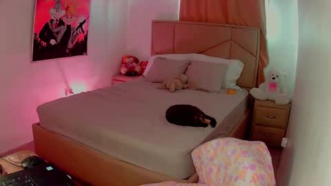 aliciabiden online show from February 17, 5:32 pm