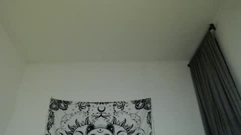 Snapshot of alinawoolf_ chatting on February 26, 5:20 am Ali online show from February 26, 5:20 am