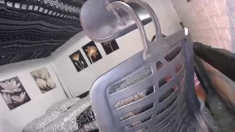 trina online show from December 16, 10:09 am