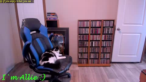 Snapshot of alliekat62 chatting on December 29, 7:22 pm Allie online show from December 29, 7:22 pm