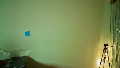 Snapshot of allisson_rose chatting on November 7, 4:45 am Alli online show from November 7, 4:45 am