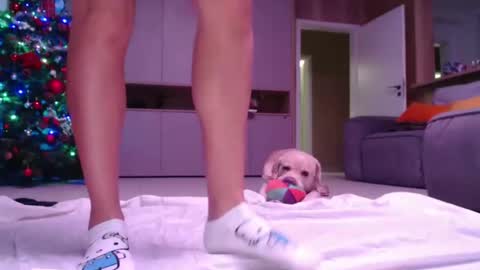 Snapshot of allissonhotbb chatting on December 15, 7:21 pm allissonhotbb online show from December 15, 7:21 pm