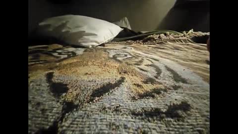 Snapshot of allnikkiallday1 chatting on January 18, 8:41 am Allnikkiallday1 online show from January 18, 8:41 am