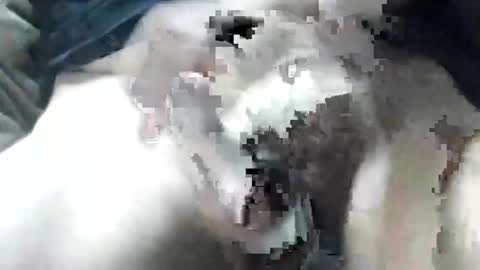 Snapshot of allways395 chatting on September 28, 3:34 am allways395 online show from September 28, 3:34 am