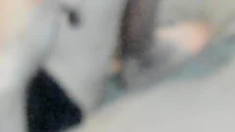 Snapshot of allways395 chatting on October 25, 5:04 am allways395 online show from October 25, 5:04 am