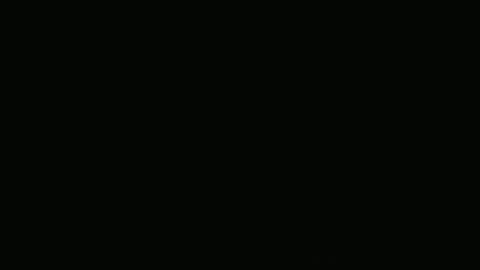 Frank online show from December 9, 9:49 am