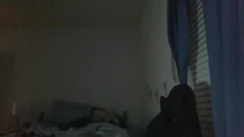 ally12334 online show from October 25, 2:30 am